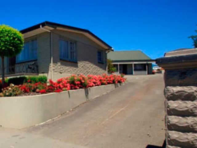 Blue Dolphin Timaru