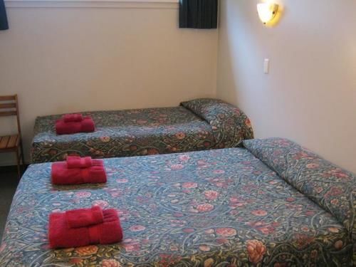 Blue Dolphin 3*